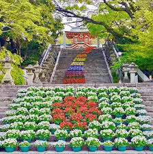 防府天満宮花回廊の画像