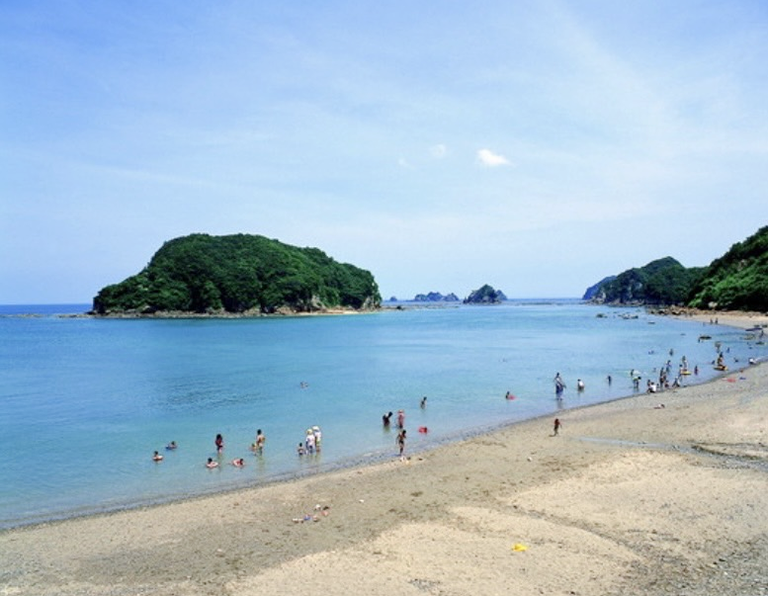 夏の海の画像