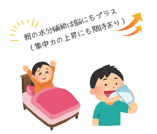朝の水分補給は脳にもプラス（集中力の上昇にも期待あり）