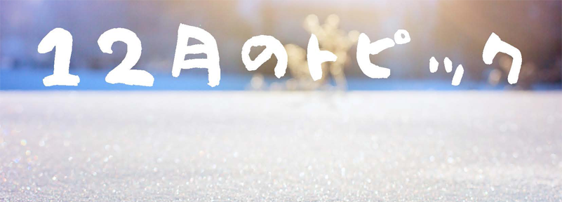 12月のトピック