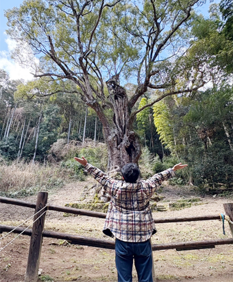 大自然の中で深呼吸する人の写真